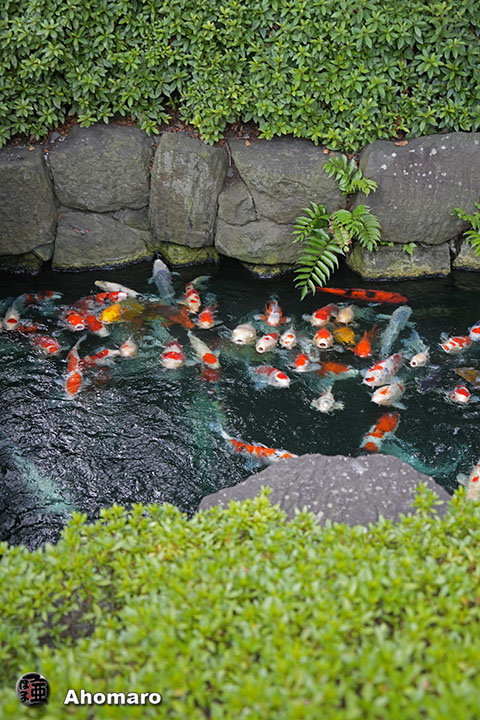 写真00