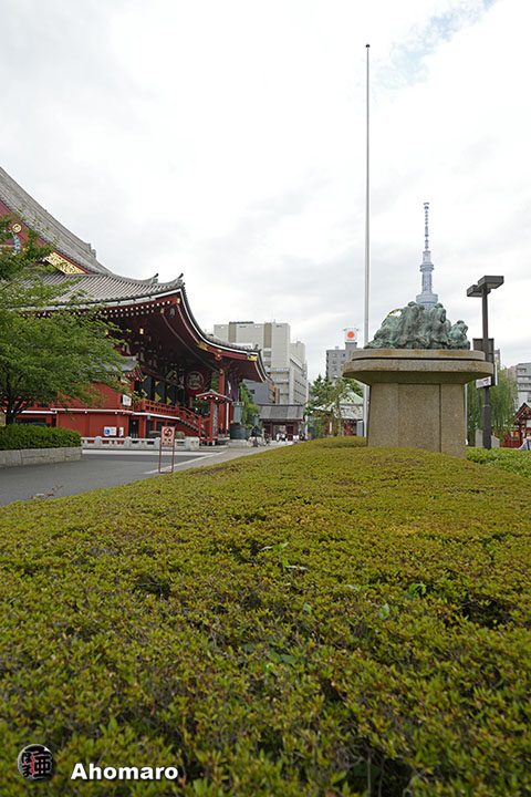 写真00