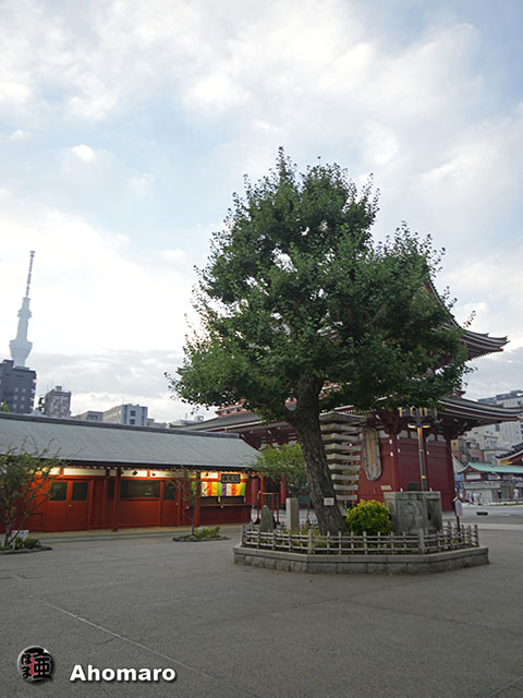 写真00
