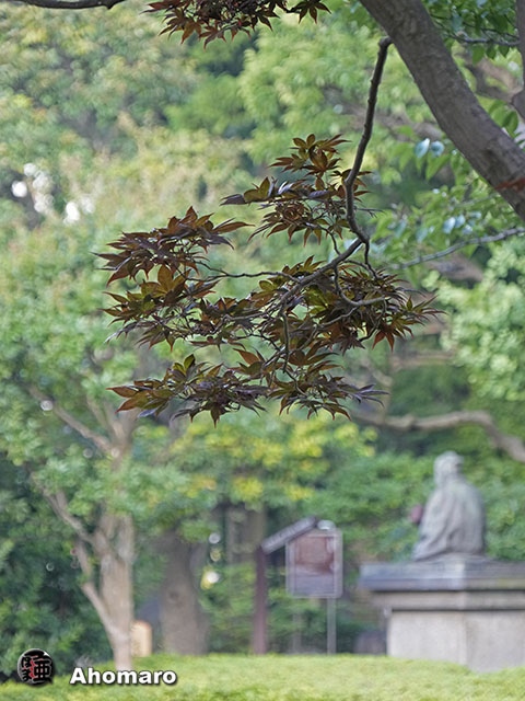 写真00