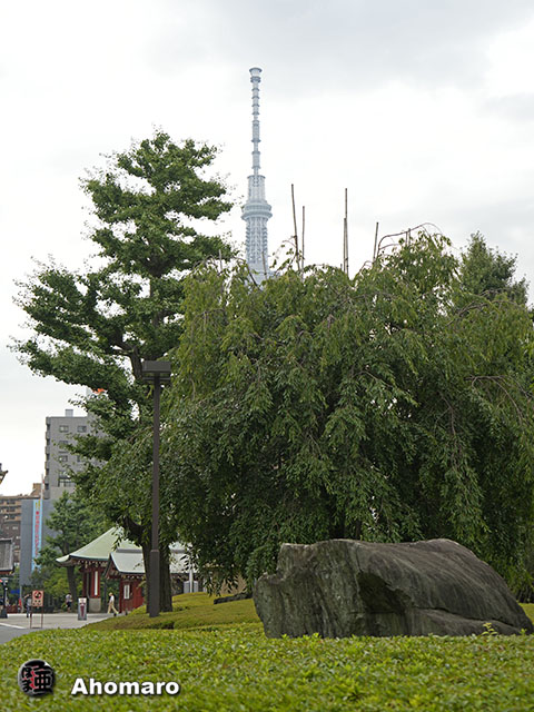 写真00