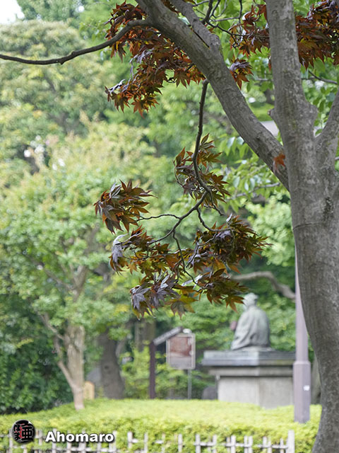 写真00
