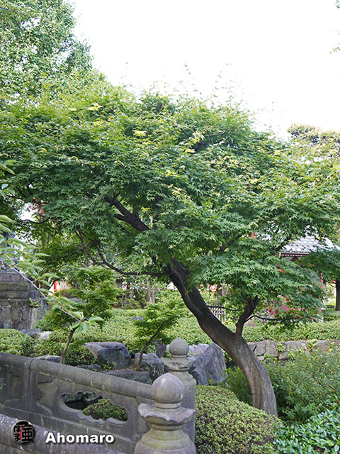 写真00