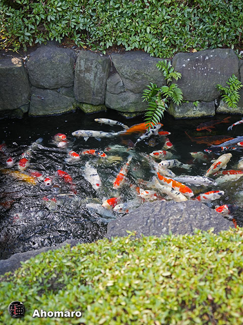 写真00
