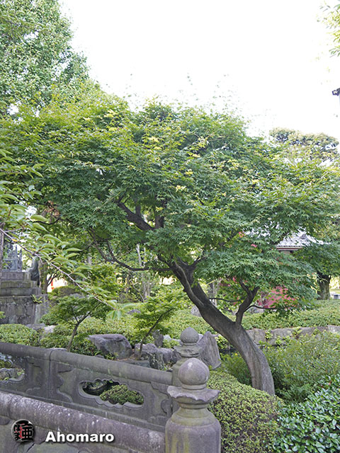 写真00