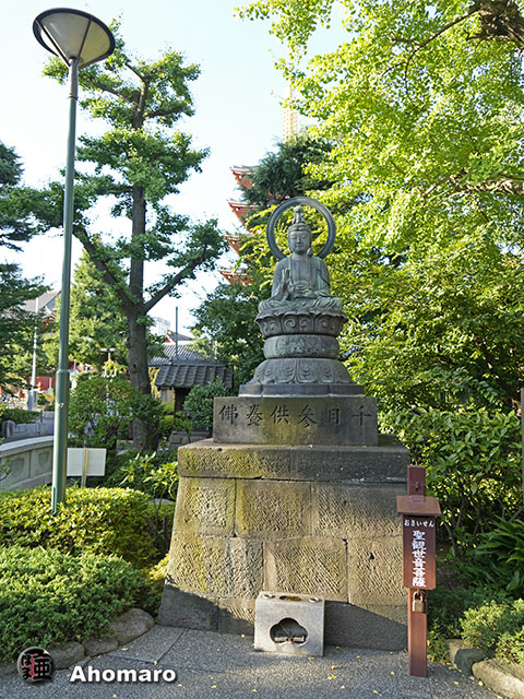 写真00