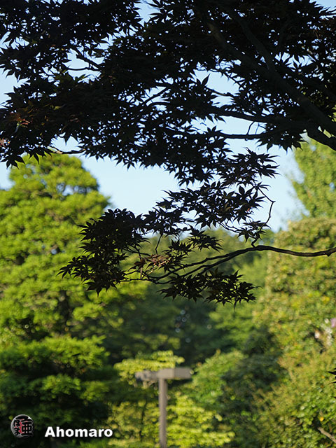 写真00