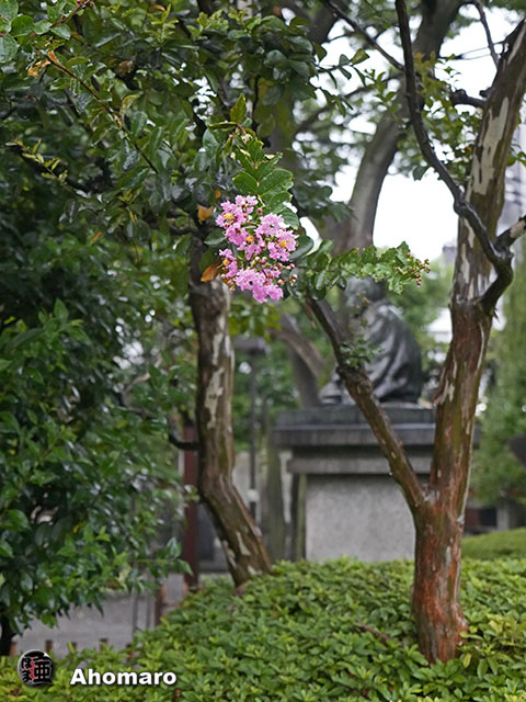 写真00