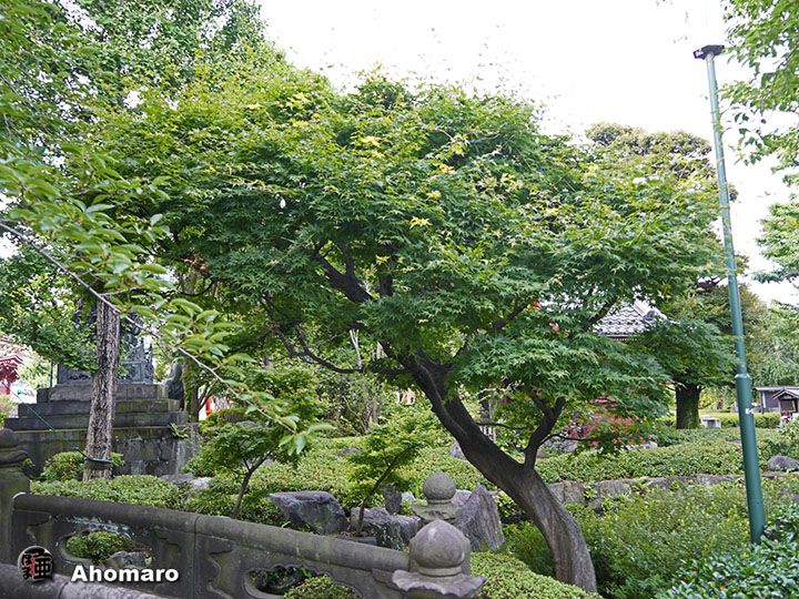 写真00