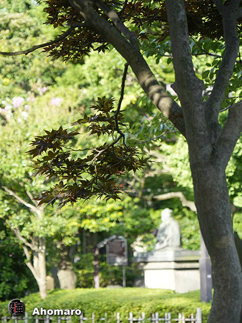 写真00