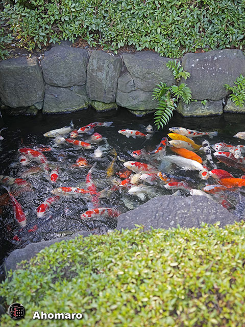 写真00