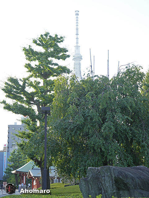 写真00