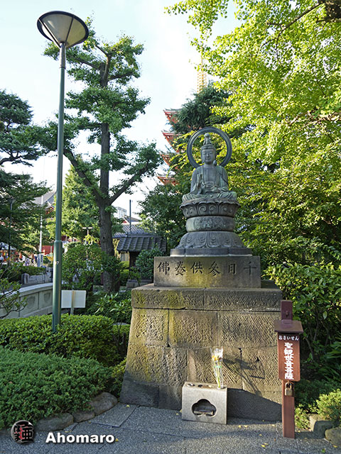 写真00