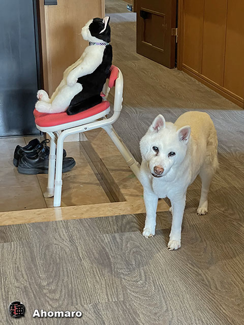 ʐ^00