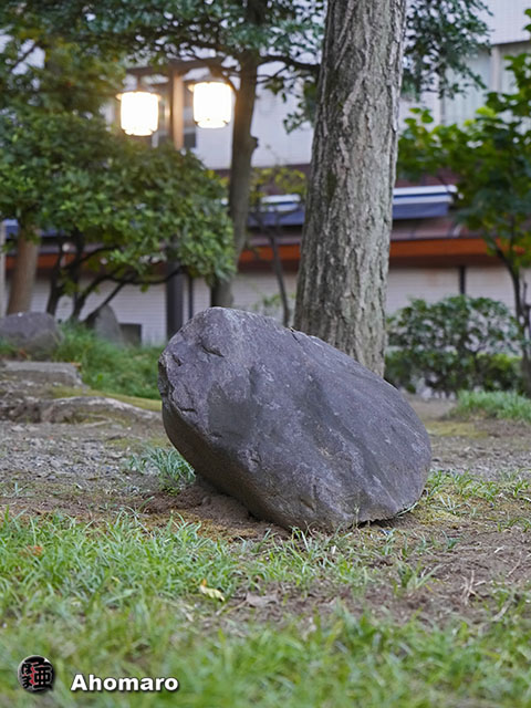 写真00