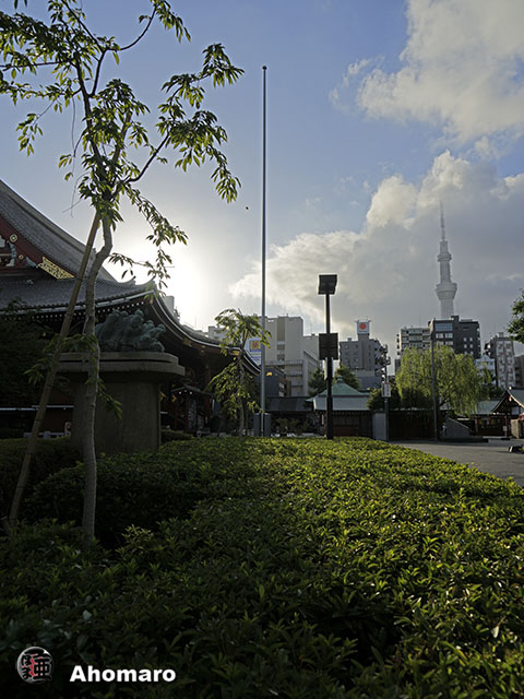 写真00