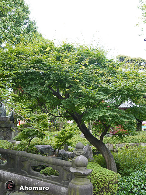 写真00