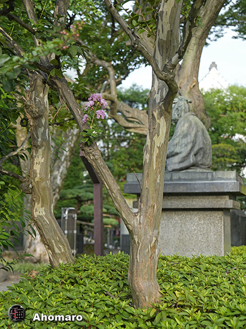 写真00