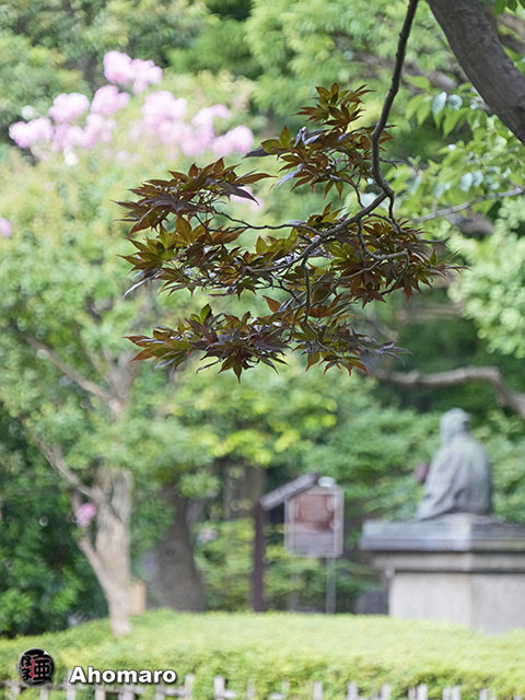写真00