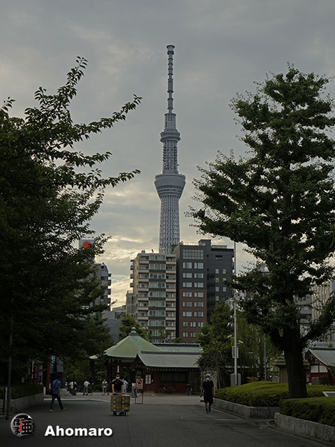 写真00