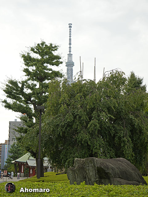 写真00