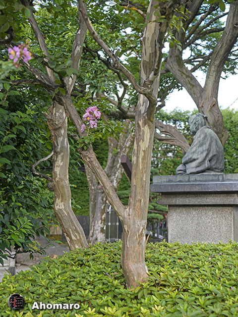 写真00