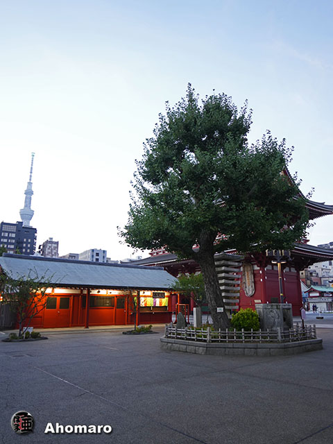 写真00