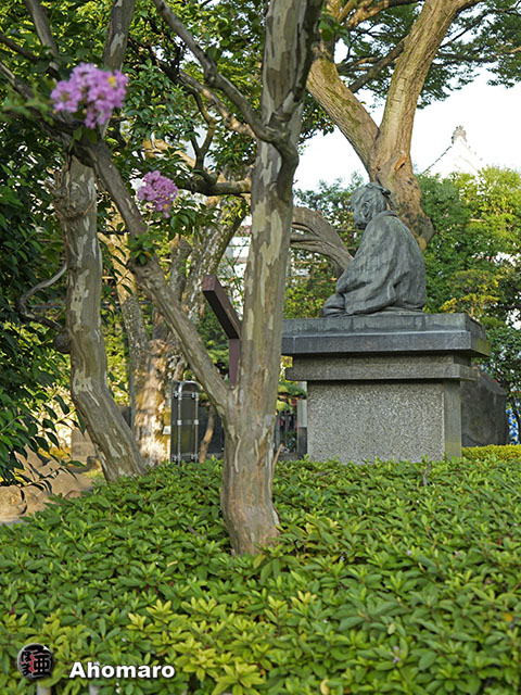 写真00