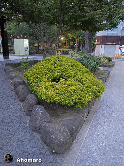 写真00