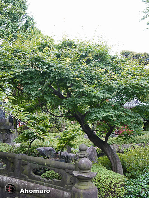 写真00