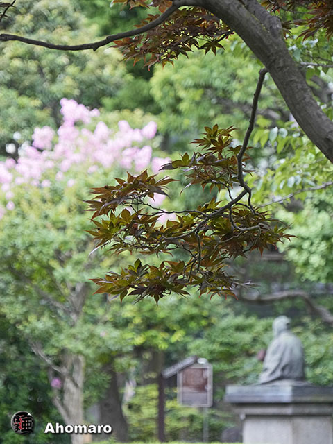 写真00