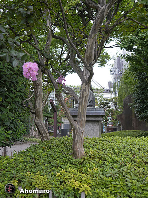 写真00