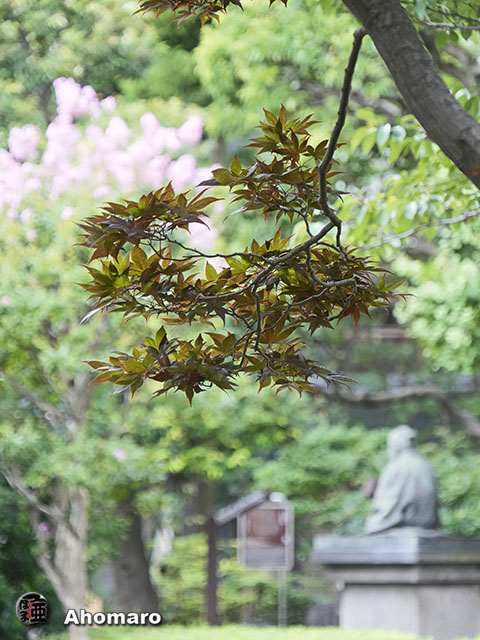 写真00
