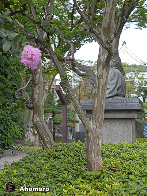 写真00