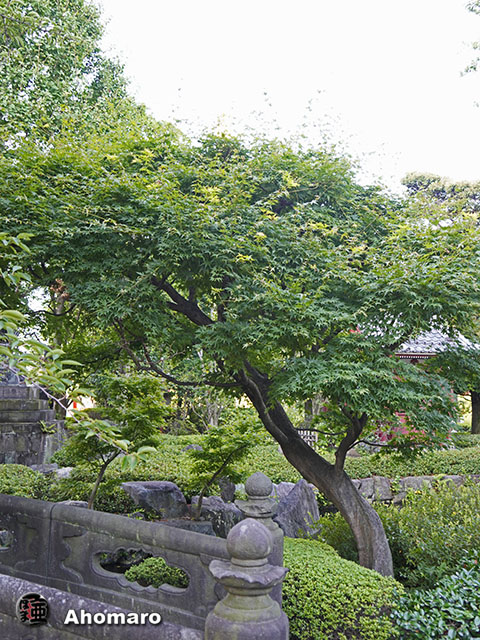 写真00