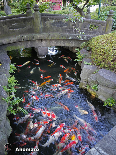 写真00