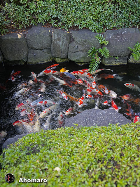 写真00