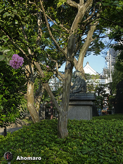 写真00