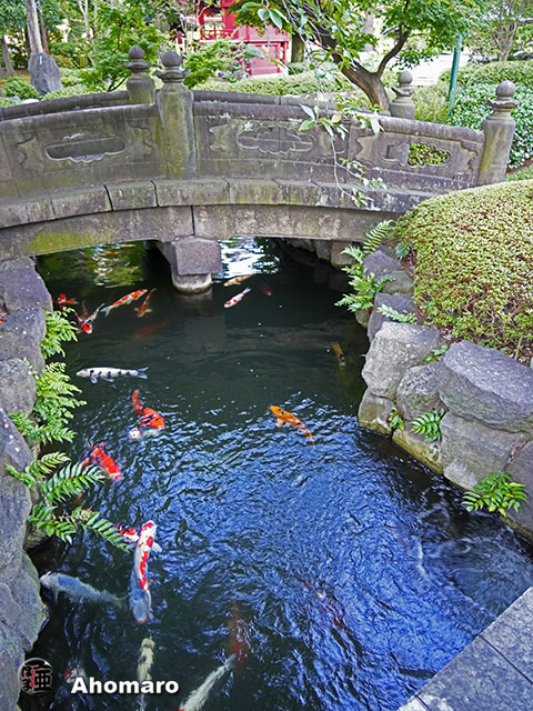 写真00