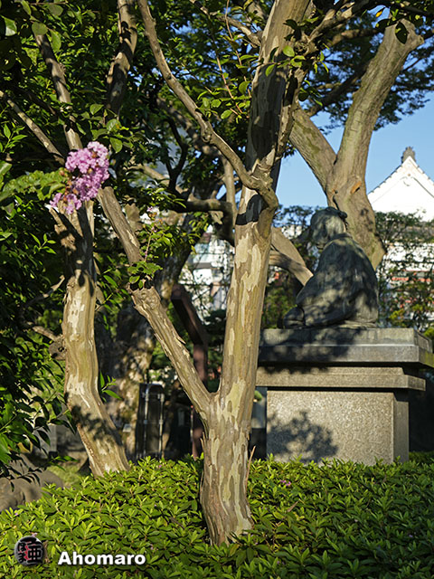 写真00