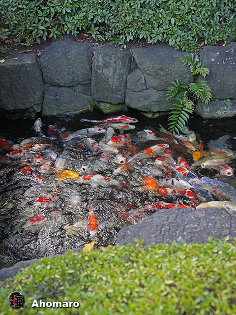 写真00