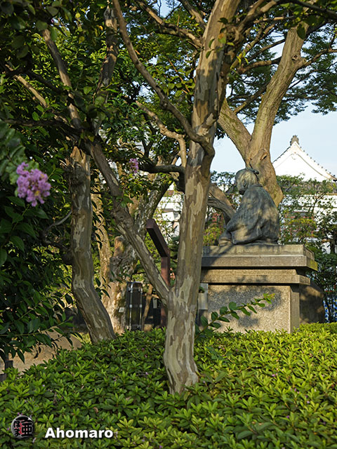 写真00