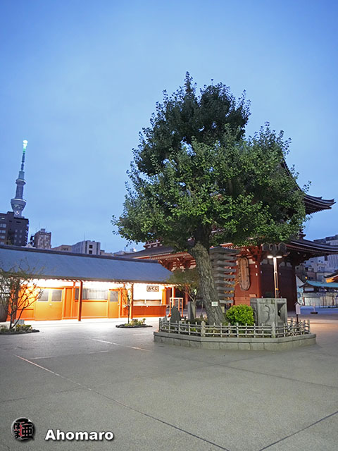 写真00