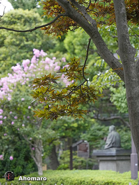 写真00