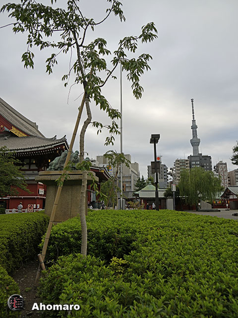 写真00