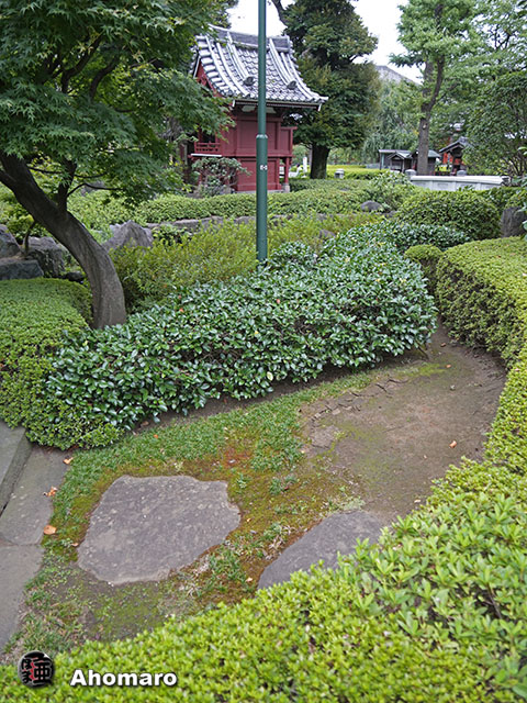 写真00