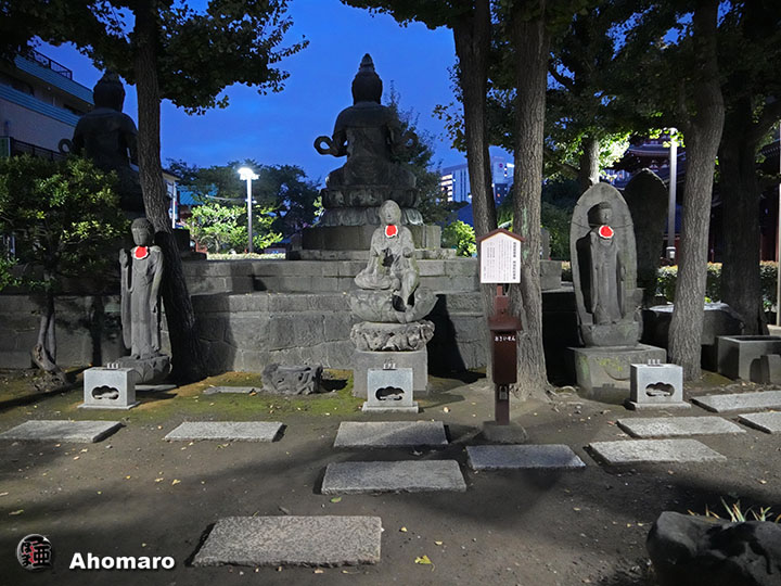 写真00