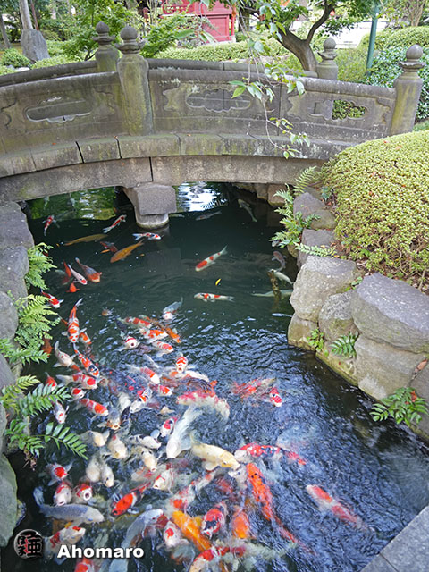 写真00