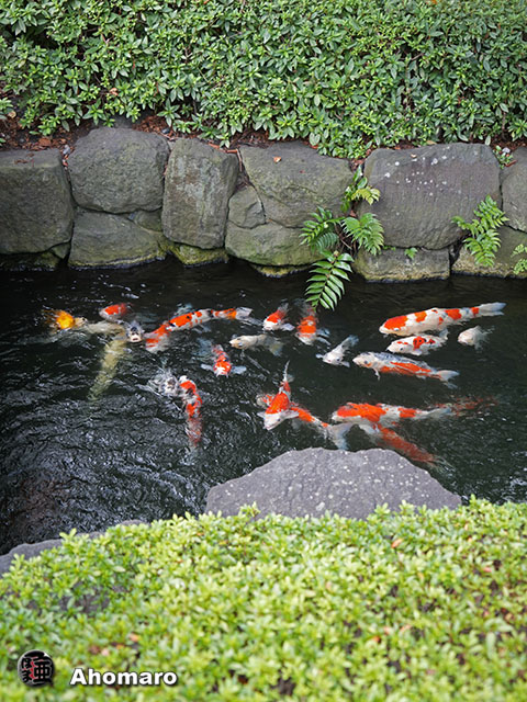 写真00