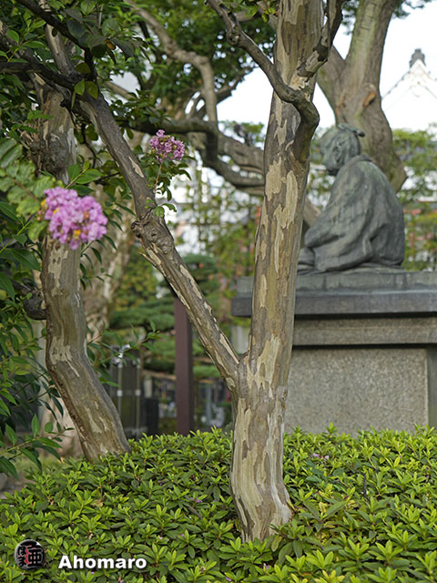 写真00
